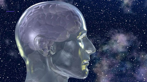 Functional Human Neurology for the Practitioner